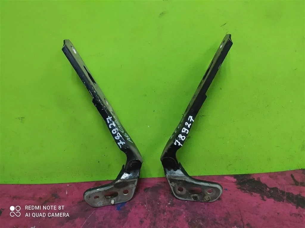 Петля капота левая правая компл Audi A6 C6 Allroad