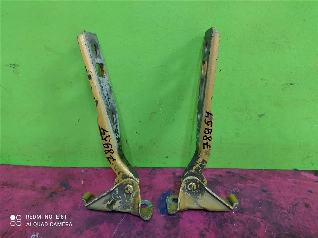 Петля капота левая правая комплект VW Golf 4 Bora