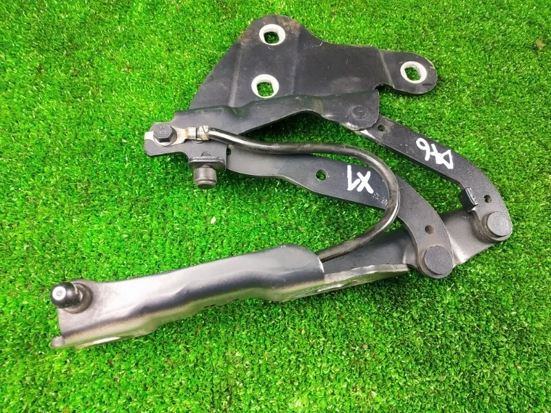 Петля капота BMW X1 E84