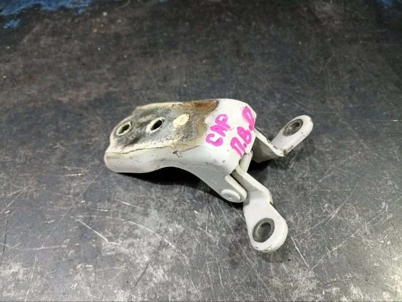 Петля двери Chevrolet Captiva C140