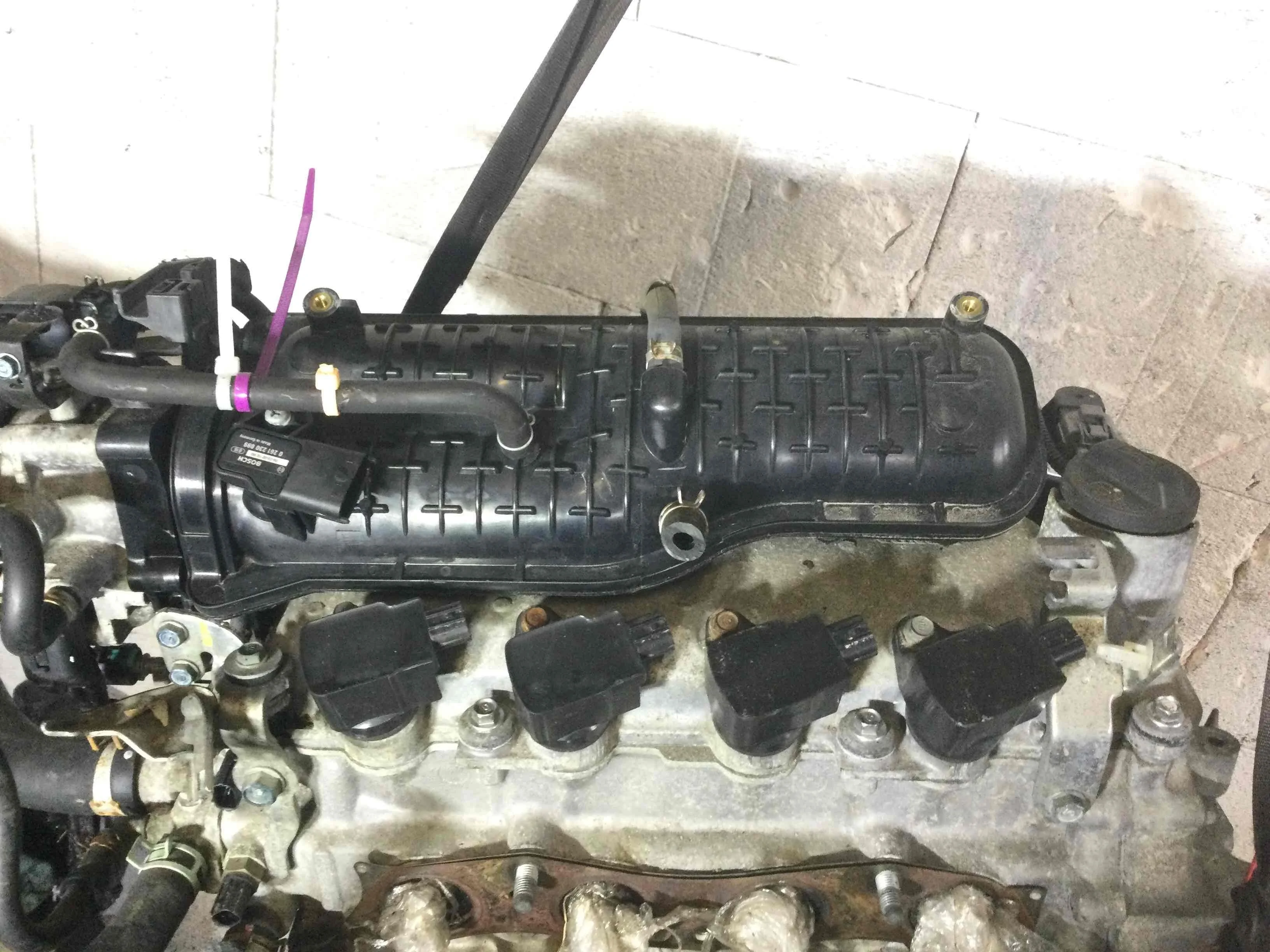 Двигатель Honda Fit Fit II (GE) 2007 - 2013 бензин 1.2 i Механика Х/б