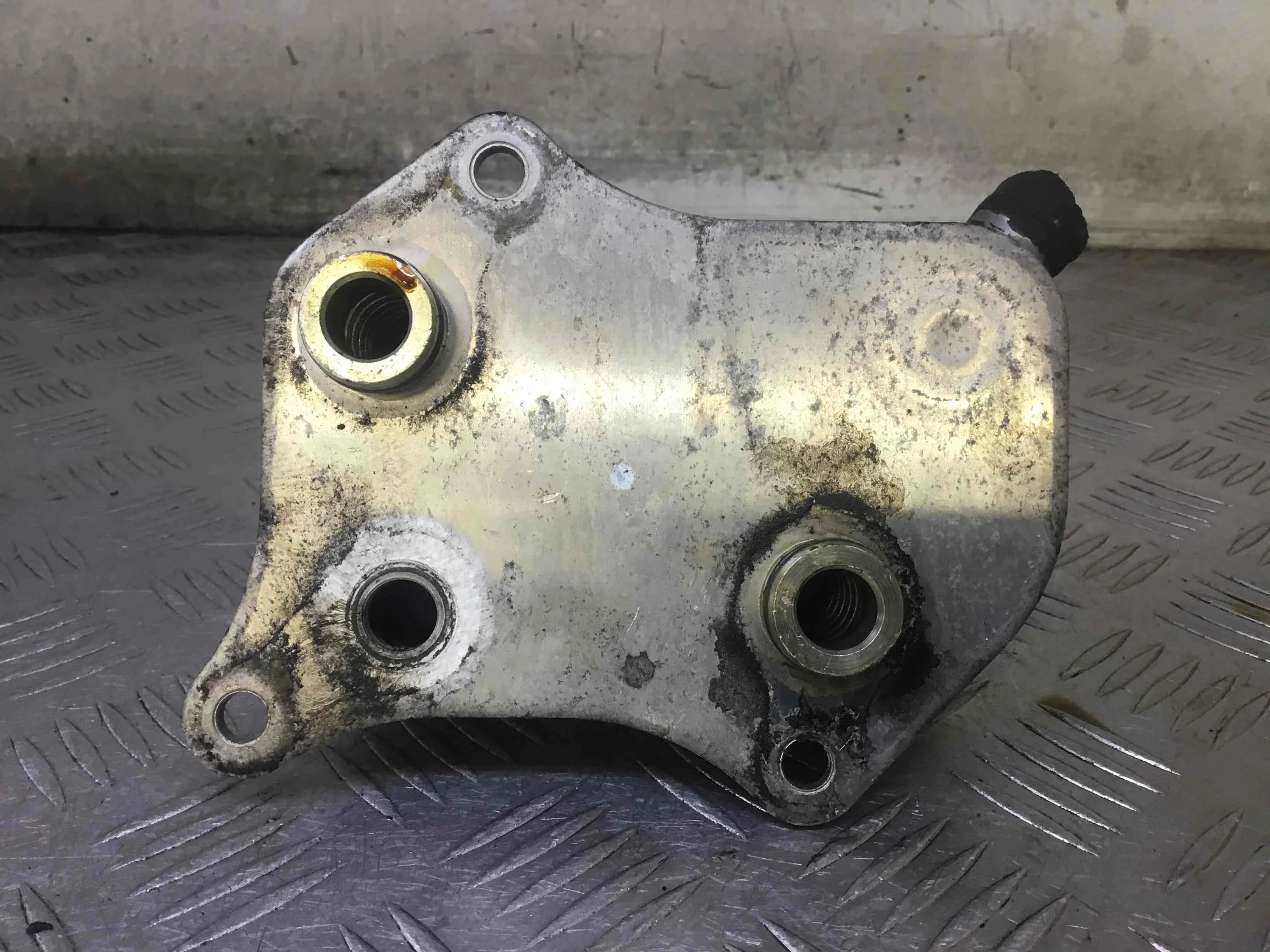 Радиатор масляный Volkswagen Passat B5+ [рестайлинг] (2000-2005) бензин 2.0 i Механика Универсал