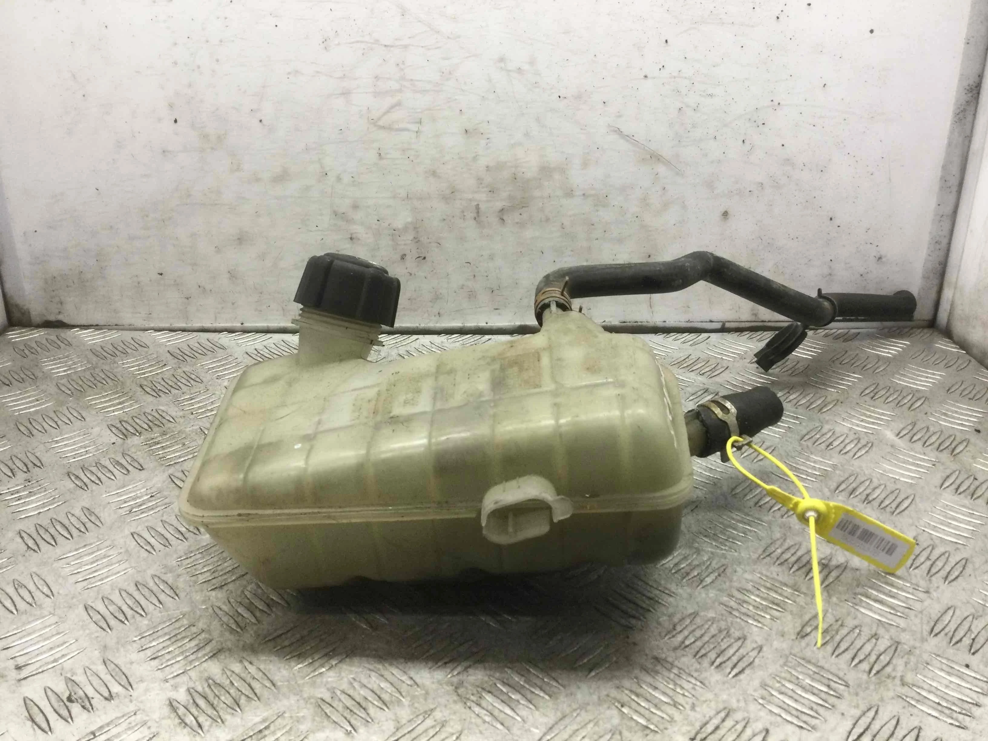 Бачок расширительный Renault Scenic 2 поколение (2003-2006) бензин 2.0  Автомат Минивэн