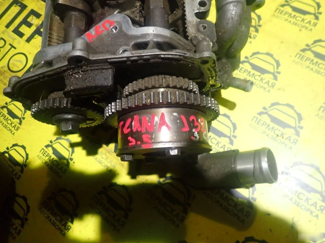 Головка блока Nissan Teana J32 2008-2013