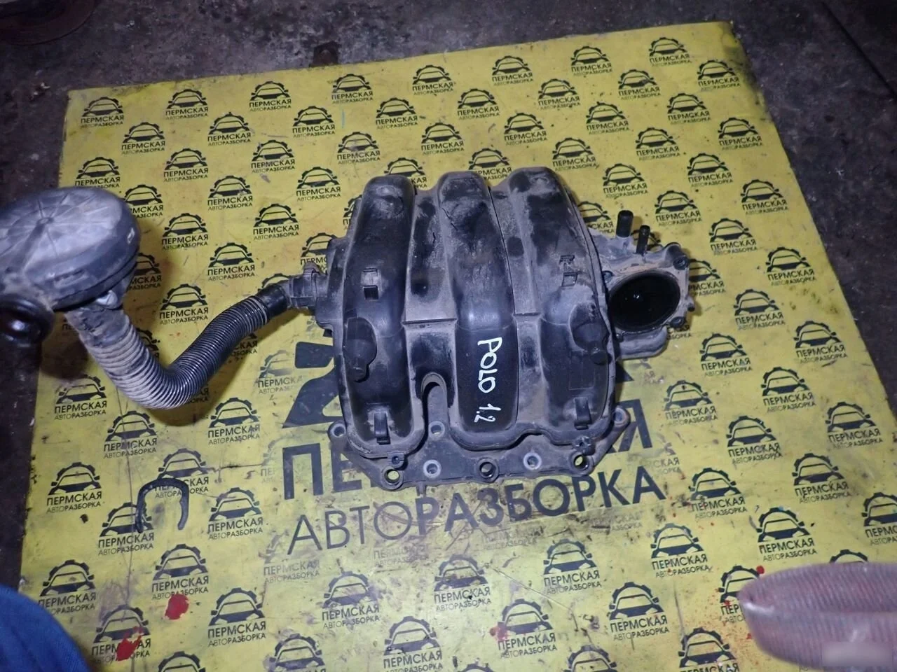 Коллектор впускной для VW Polo (HB) 2009-2017