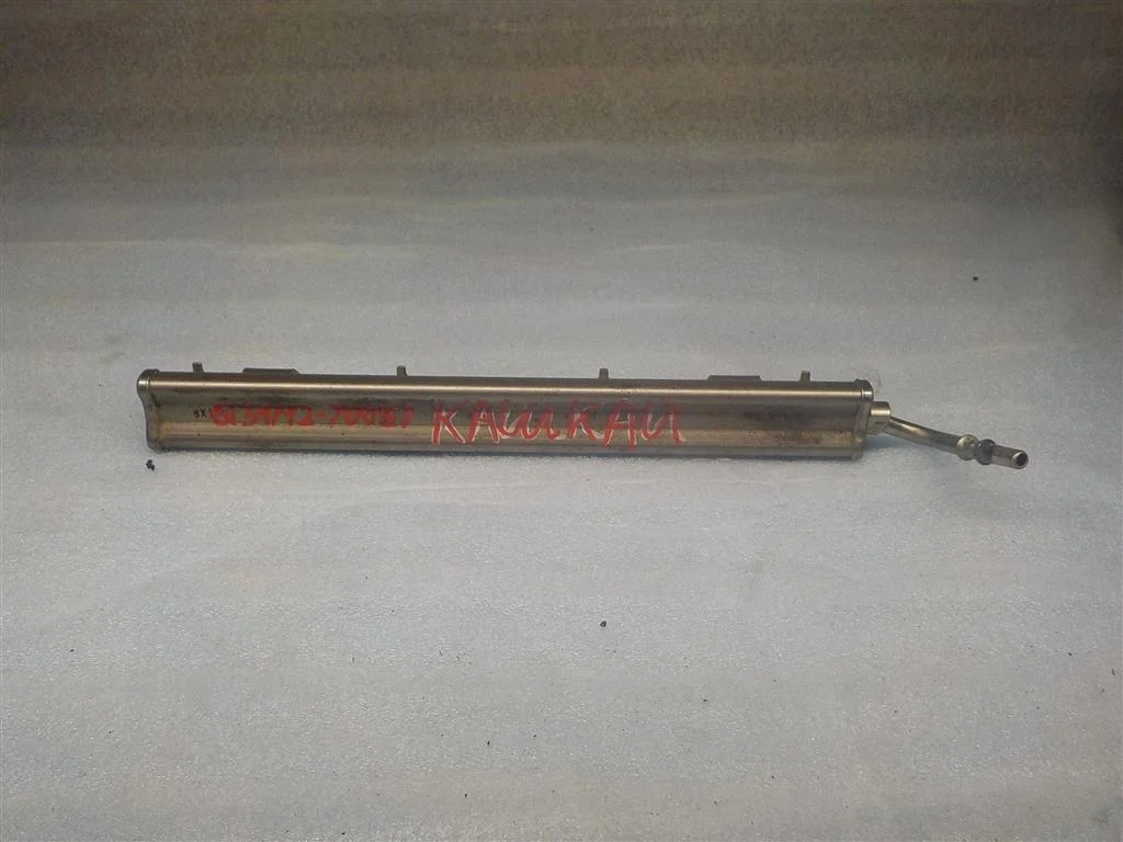 Рейка топливная (рампа) Nissan Qashqai I (2006—2010)