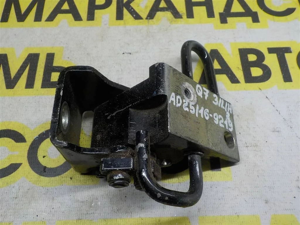 Петля двери задней левой нижняя Audi Q7 4L (2005—2009)