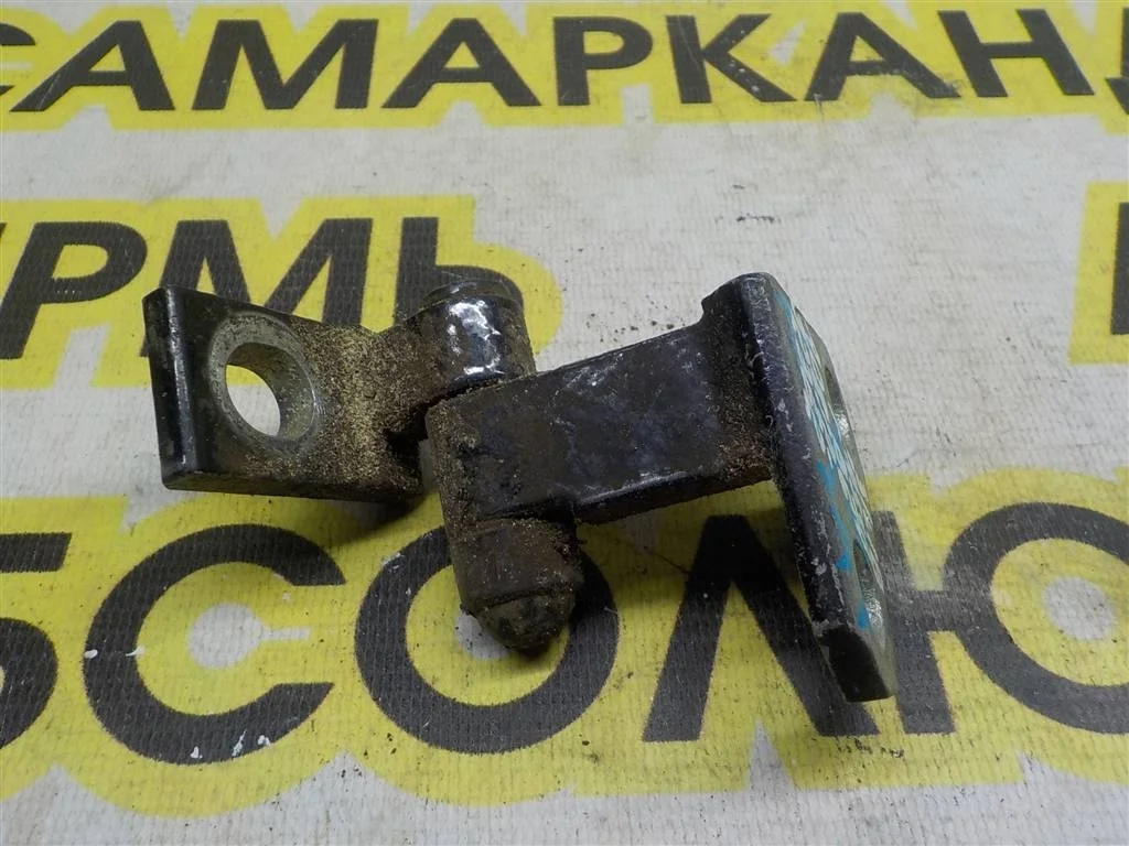 Петля двери задней левой верхняя Volkswagen Passat B6 (2005—2010)