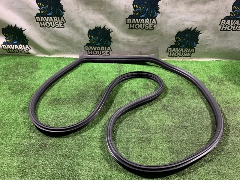 Уплотнитель двери BMW 5 2009 51767226395 F07 N63B44A, передний левый