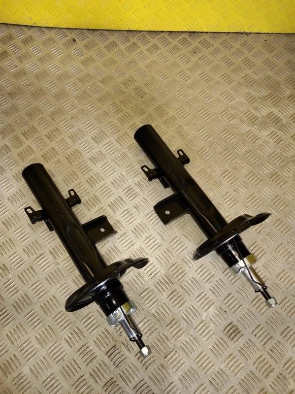 Амортизатор задний Land Rover Freelander Ii (2006-2014) 2010 LR039916