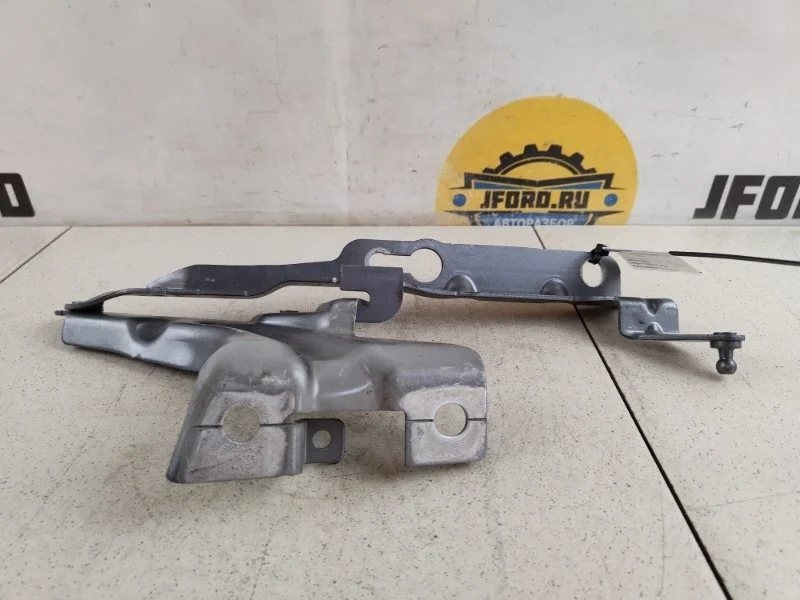 Петля капота Volvo XC90 2019 L_A4