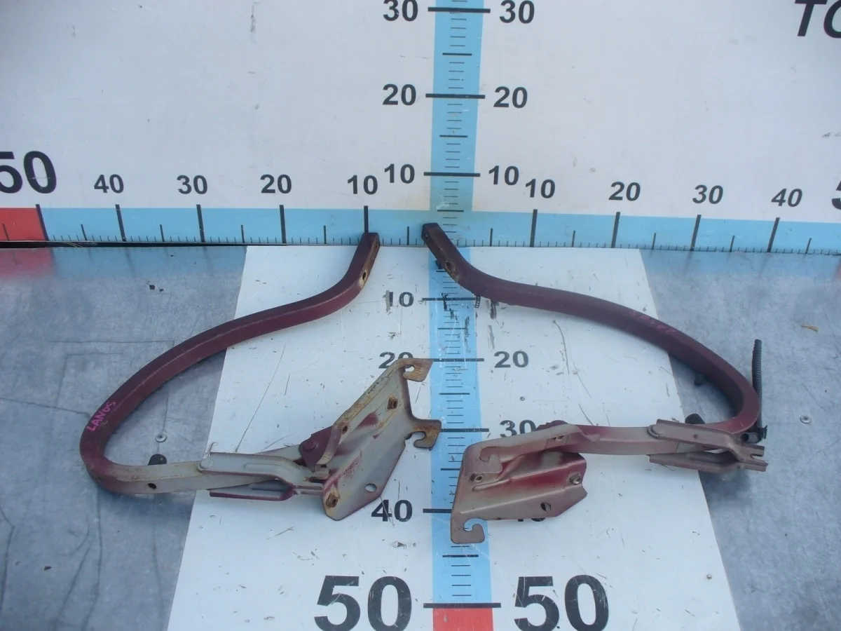 Петля крышки багажника Chevrolet Lanos 2007 T100