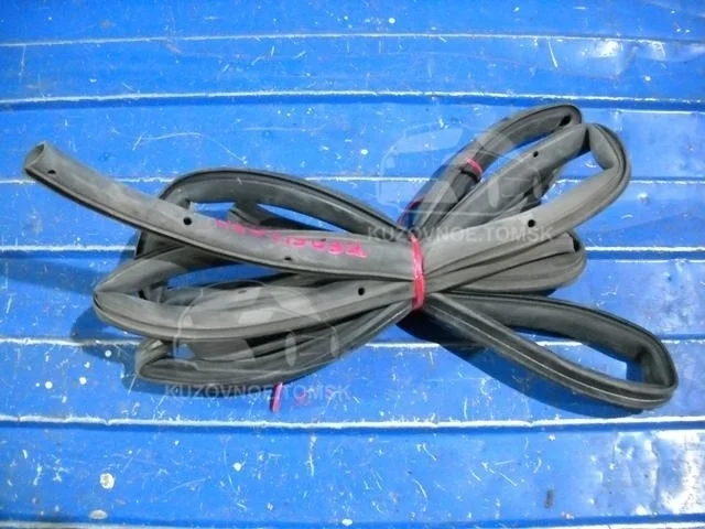 Уплотнитель двери Ford Focus 2008 CB4