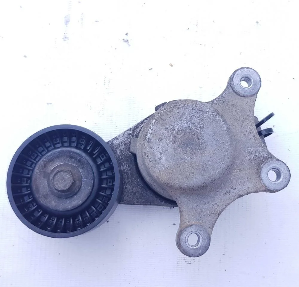 Натяжитель приводного ремня с роликом Ford  106397