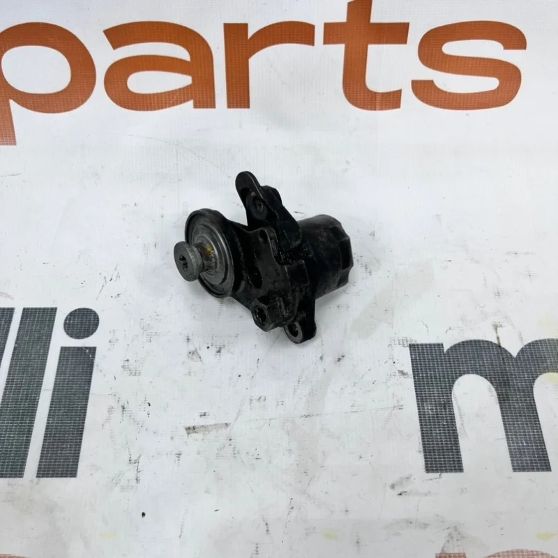 Натяжитель Volkswagen Tiguan 2017