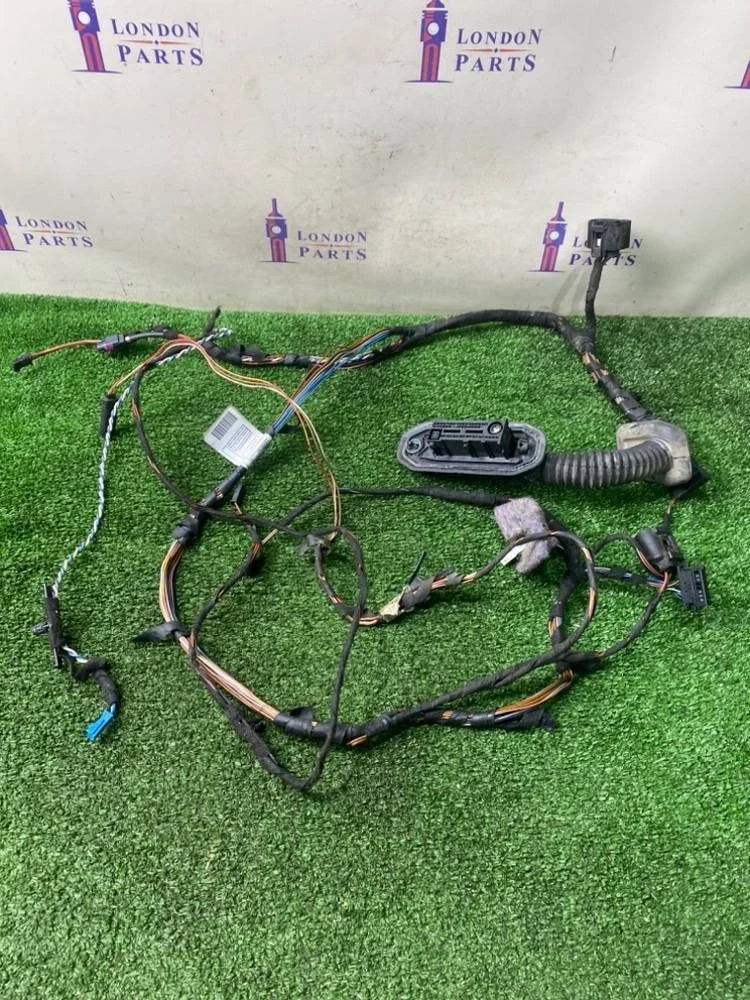 Проводка дверная BMW X5 E70