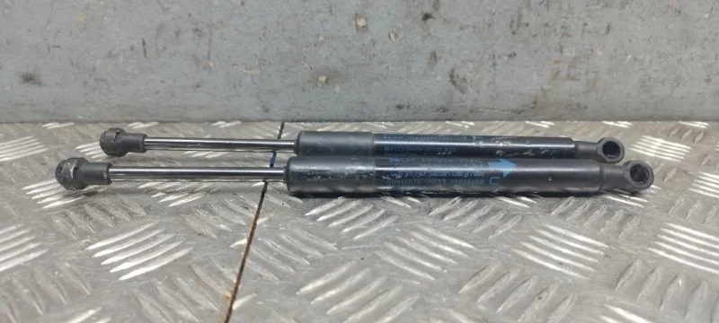 Амортизаторы багажника Nissan Teana J32