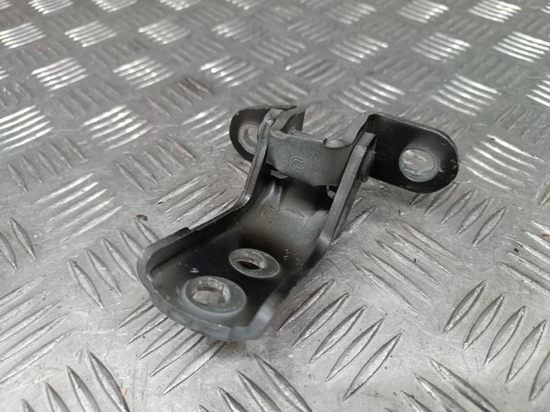 Петля двери Lexus RX270 AGL10
