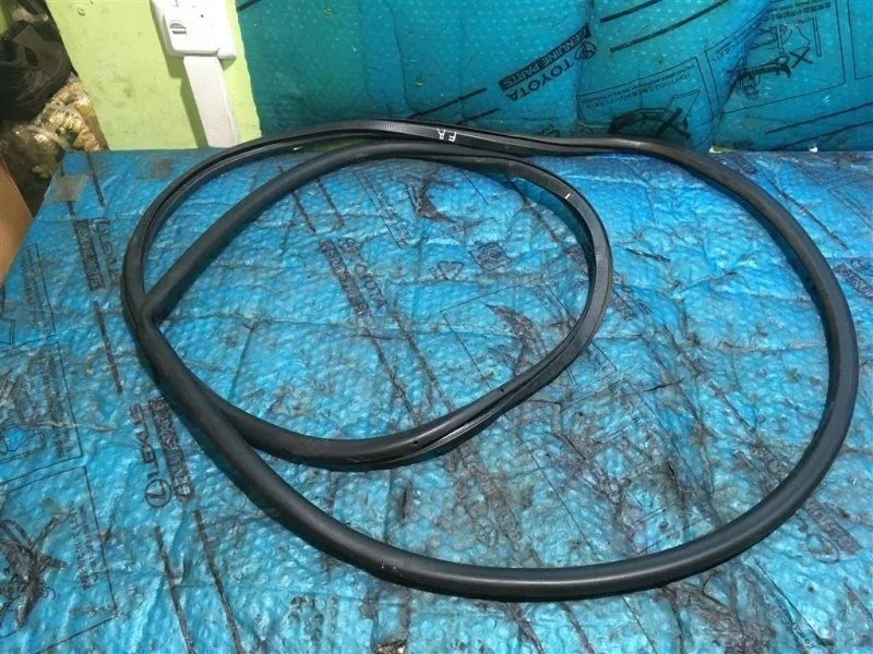 Уплотнитель двери передней правой(дверного проема) TOYOTA LAND CRUISER 200 2016 6231160141 4