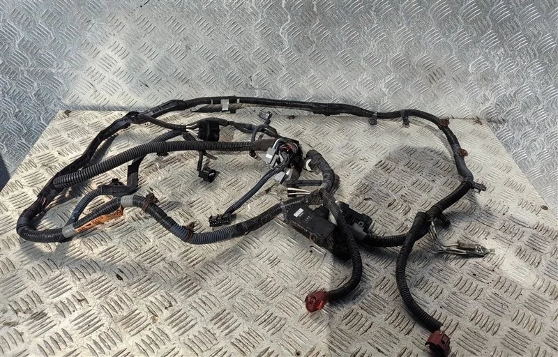 Проводка Lexus Gs 300 Iii (2004-2012) 2005 8218330050A СЕДАН 3.0 I 3GRFSE, задняя