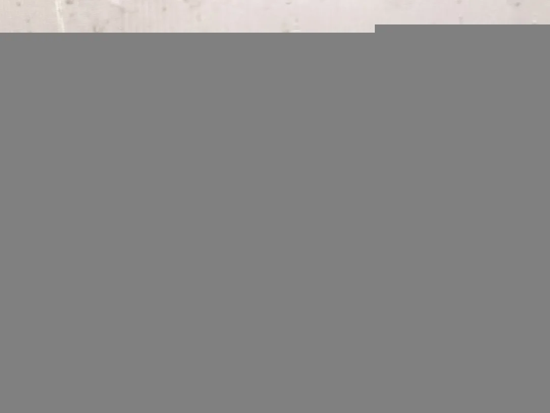 [Б/У] Суппорт тормозной задний правый [Код: 00400646 ]