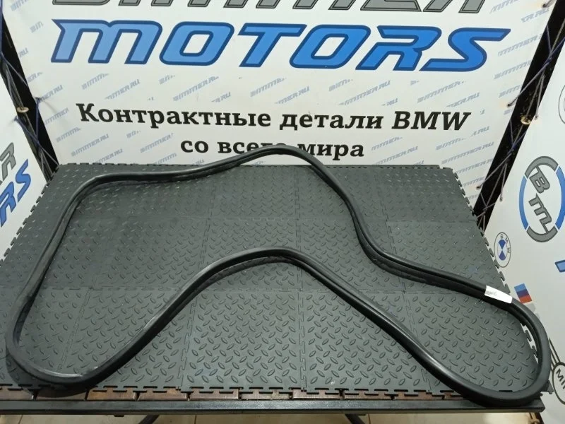 Уплотнительная резинка Bmw X6 51767221844 E71, задняя правая