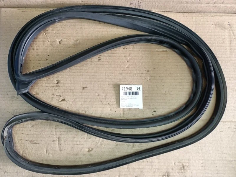 Уплотнитель двери Nissan X-Trail 2008 TNT31