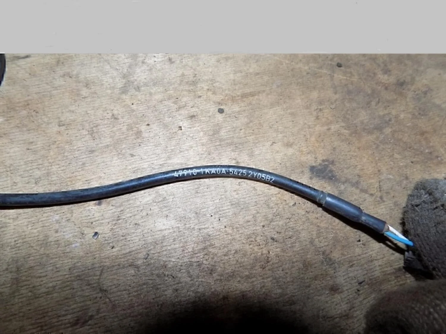 Датчик ABS передний Juke (F15) 2011>