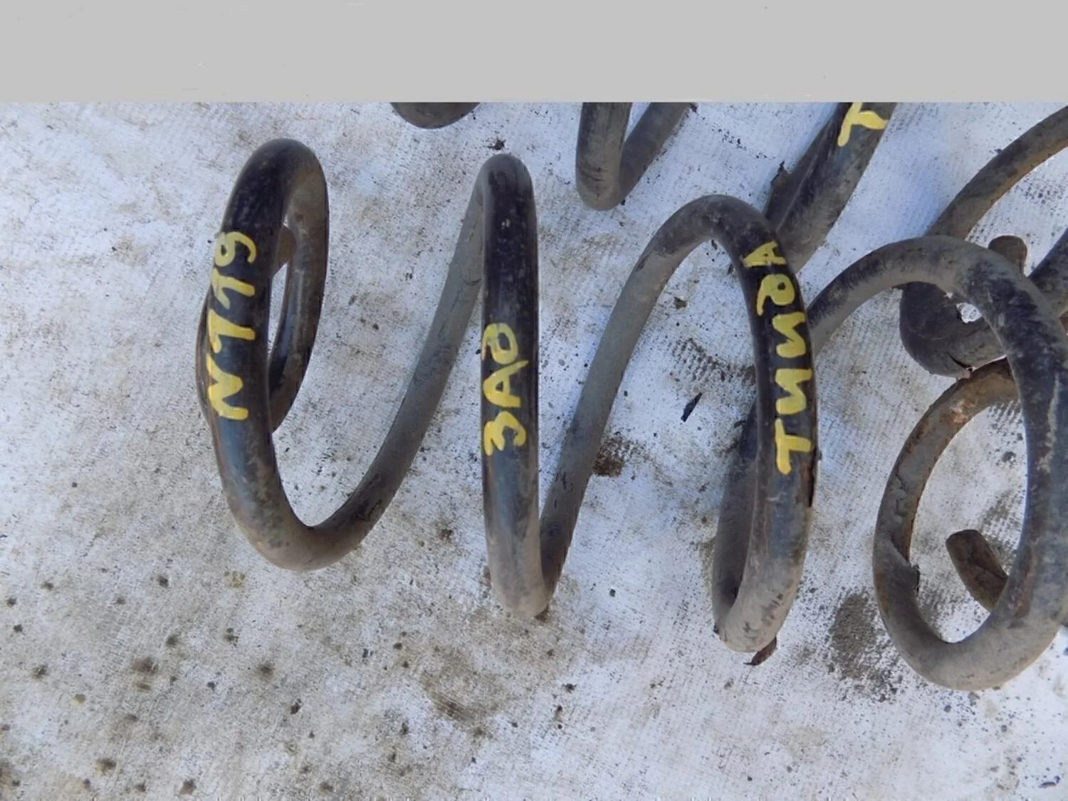 пружина задняя Tiida (C11) 2007-2014