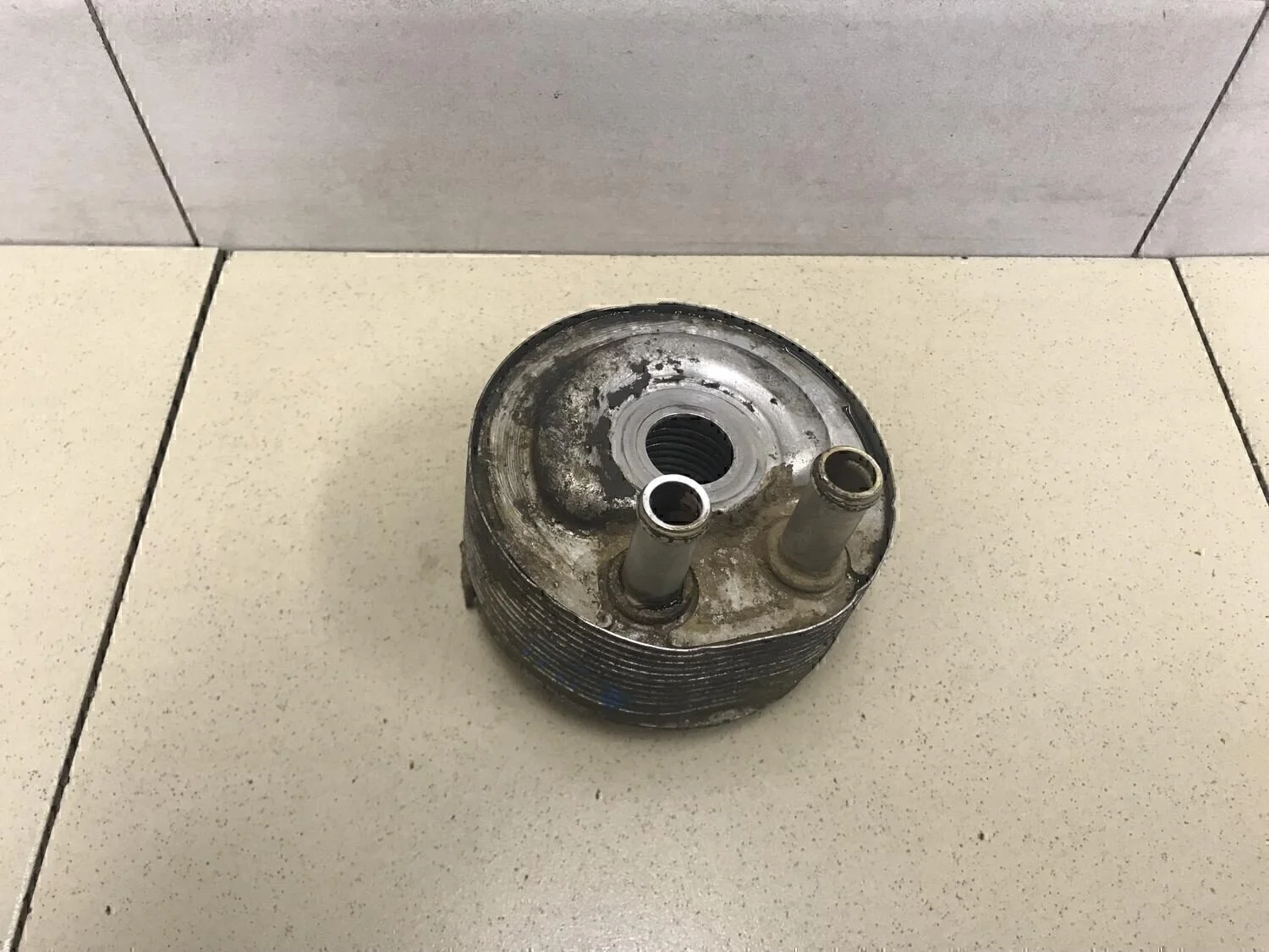 Радиатор масляный Primera P12E 2002-2007