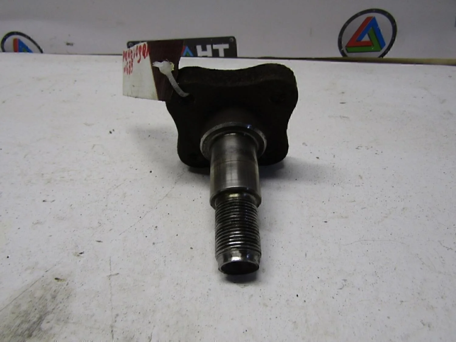 Цапфа (п.з.к.)  Clio/Symbol 1998-2008