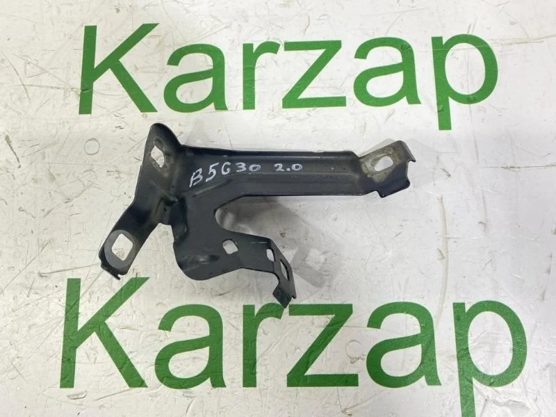 Кронштейн крыла BMW 4 2020 F32