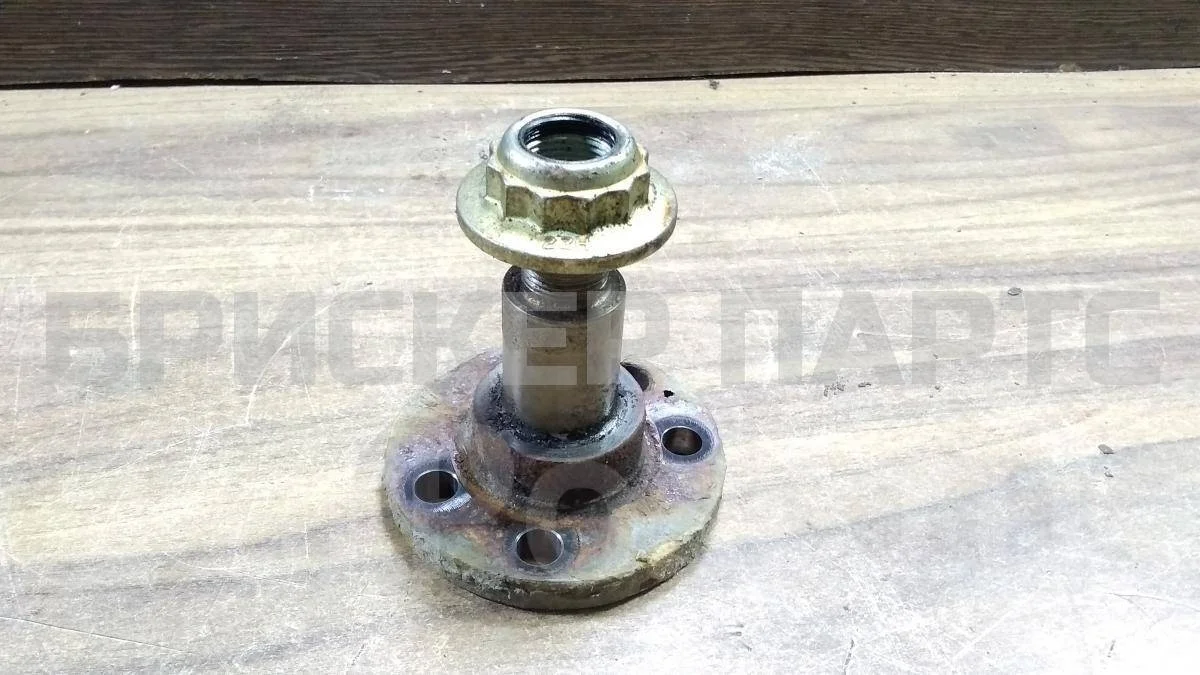 Цапфа задней ступицы Фольксваген Поло 5  Mk5 6R1