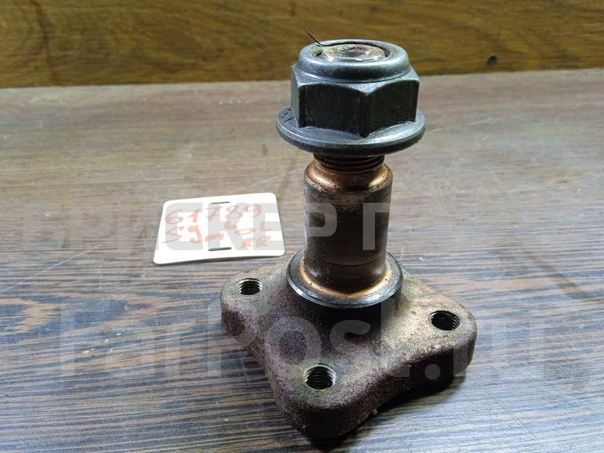 Цапфа задней ступицы Рено Симбол 2