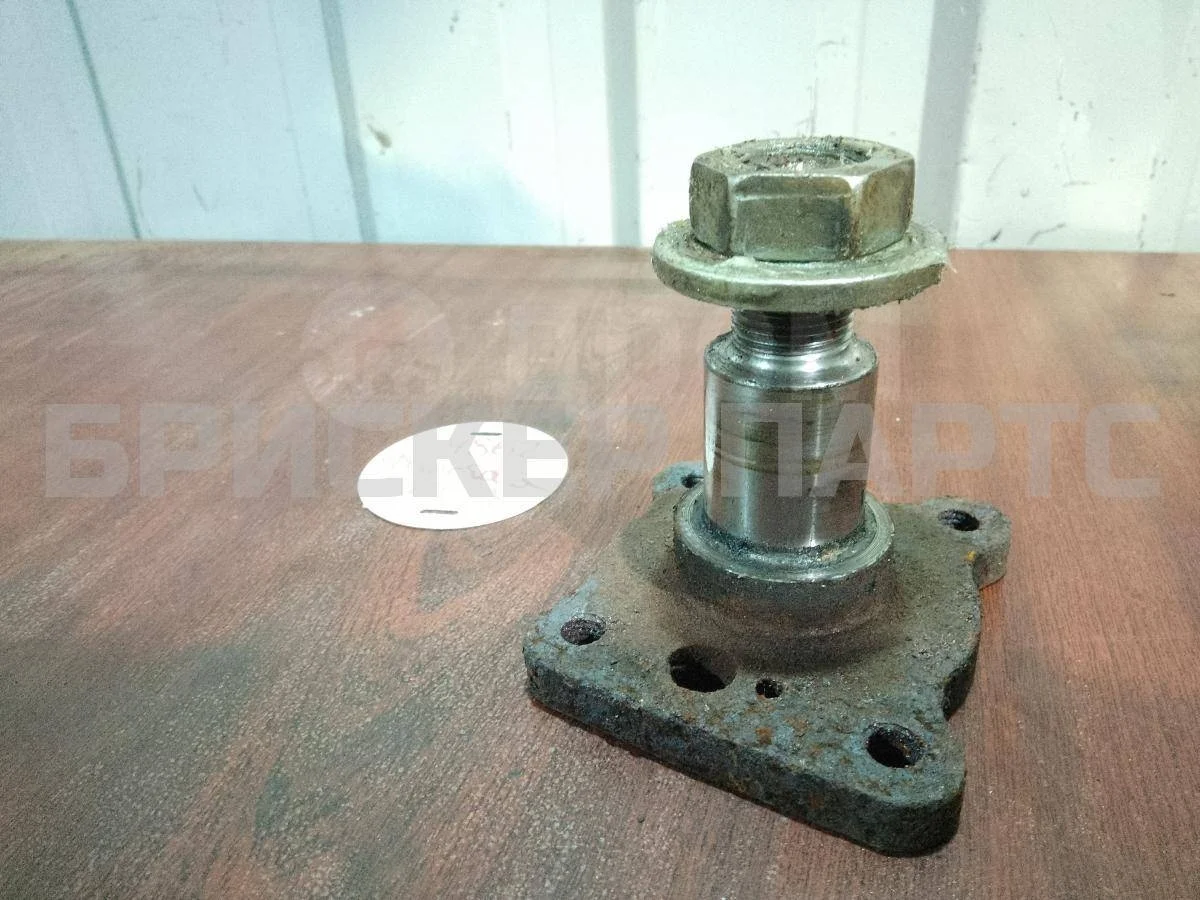 Цапфа задней ступицы Форд Фиеста MK5