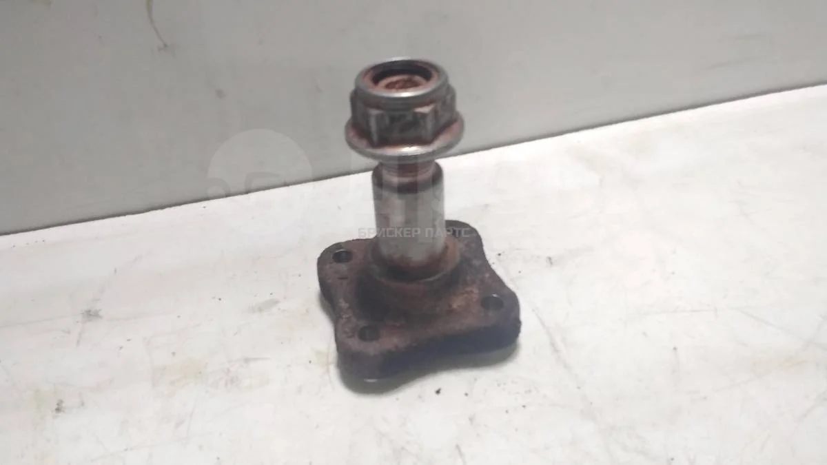 Цапфа задней ступицы Рено Сандеро 1