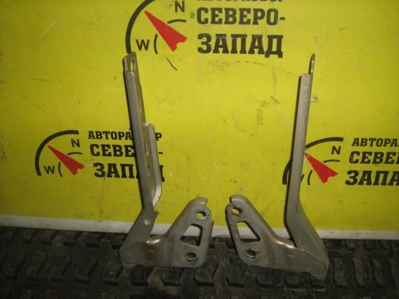 Петля капота Audi Q7 4L0823301 4LB BUG, левая