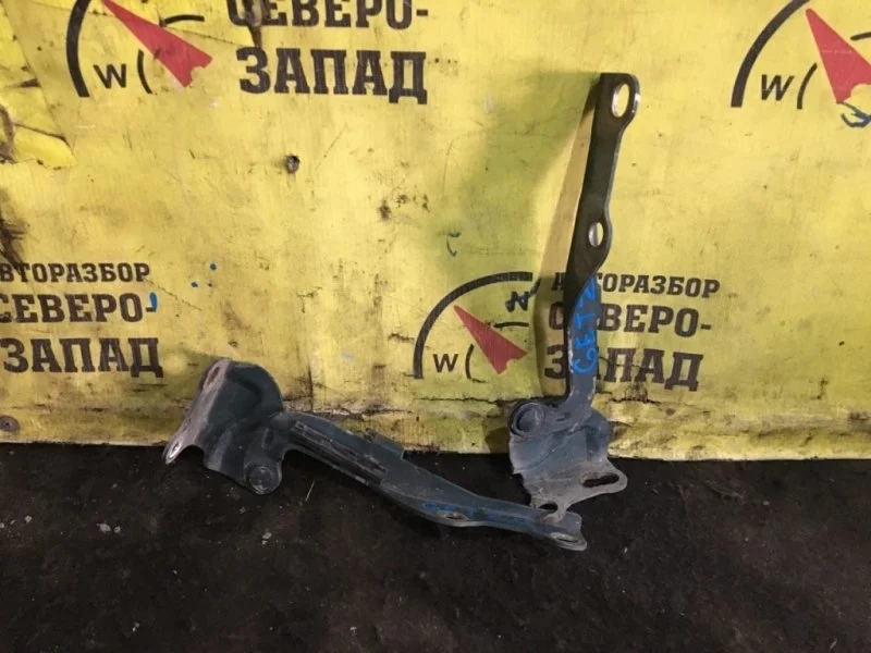 Петля капота Hyundai Getz 791201C000 TB G4EE, правая