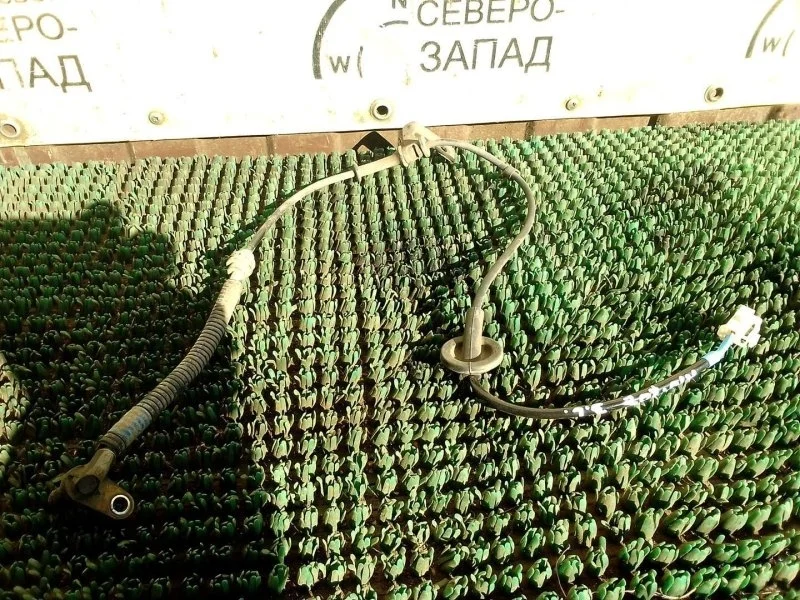 Датчик ABS Kia Rio 956804L100 QB G4FC, задний левый