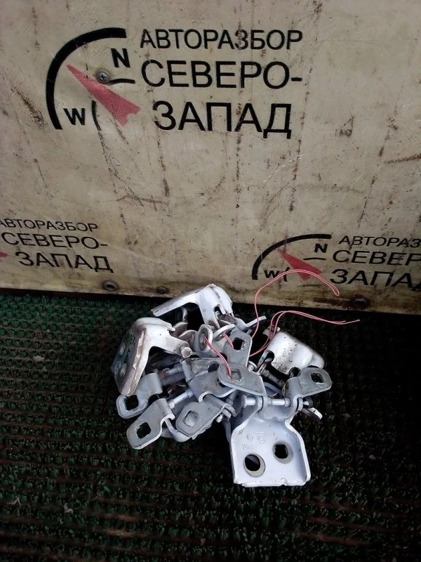 Петля дверная Renault Duster 804209726R HSM F4R410, задняя левая