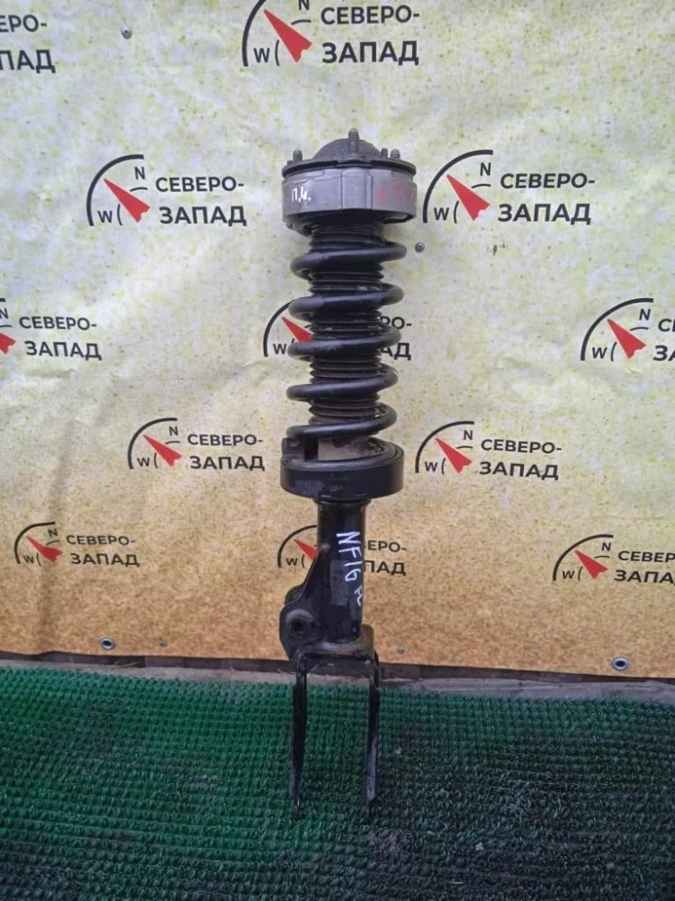 Амортизатор Volkswagen Touareg 2011 7P6413031AH NF CMTA, передний левый