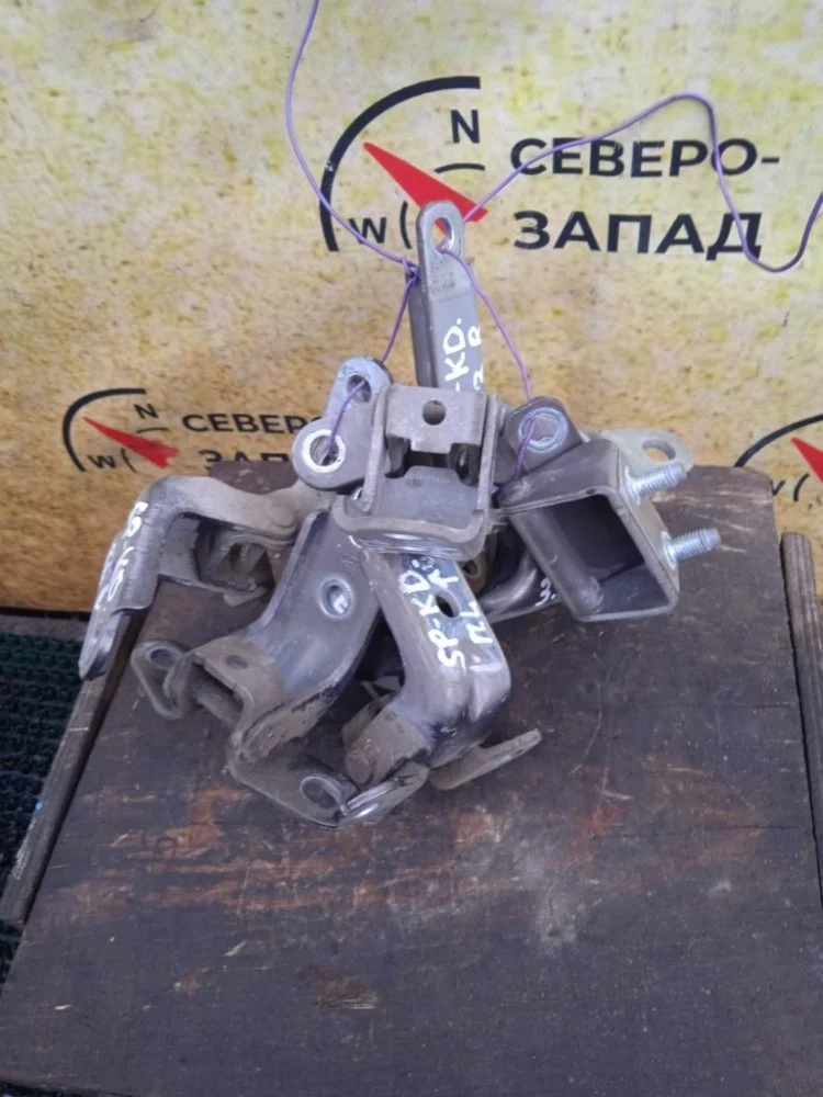 Петля двери Kia Sportage 2012 793102H000 SL G4KD, передняя левая