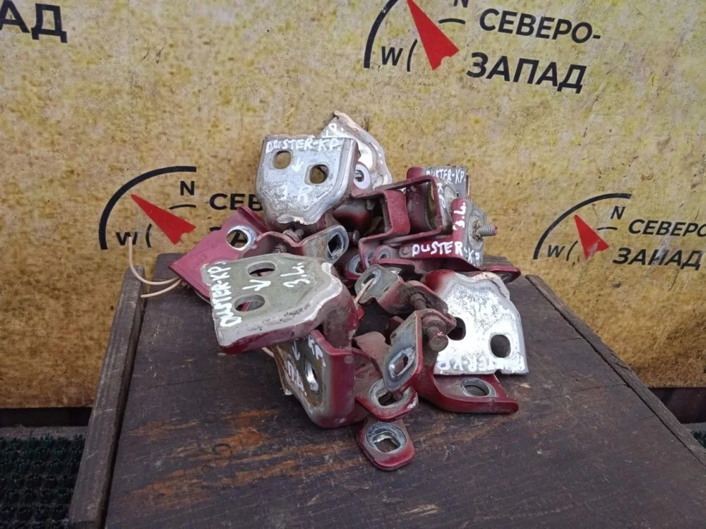 Петля двери Renault Duster 2013 804209726R X79 K4M690, передняя левая