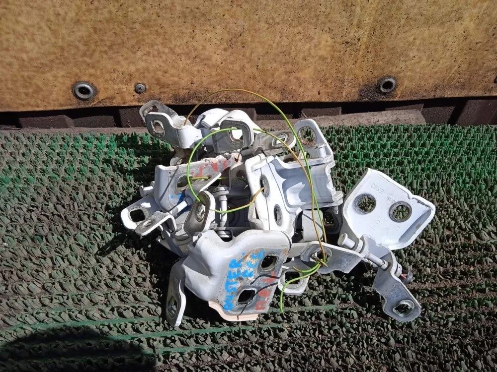 Петля двери Renault Duster 2019 804207876R X79 H4M430, передняя правая