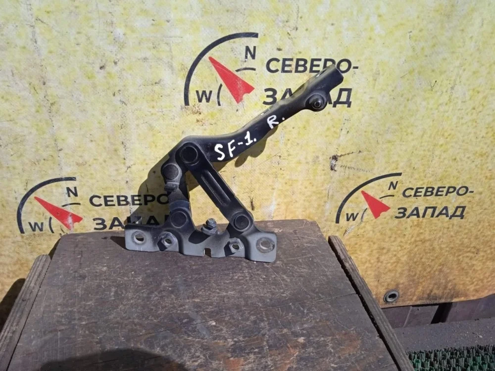 Петля капота Hyundai Santa Fe 2012 791202W000 DM D4HB, правая