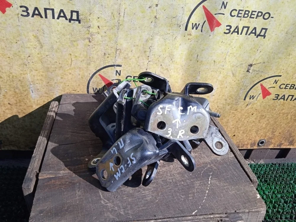 Петля двери Hyundai Santa Fe 2006 793102B010 CM G6EA, передняя левая