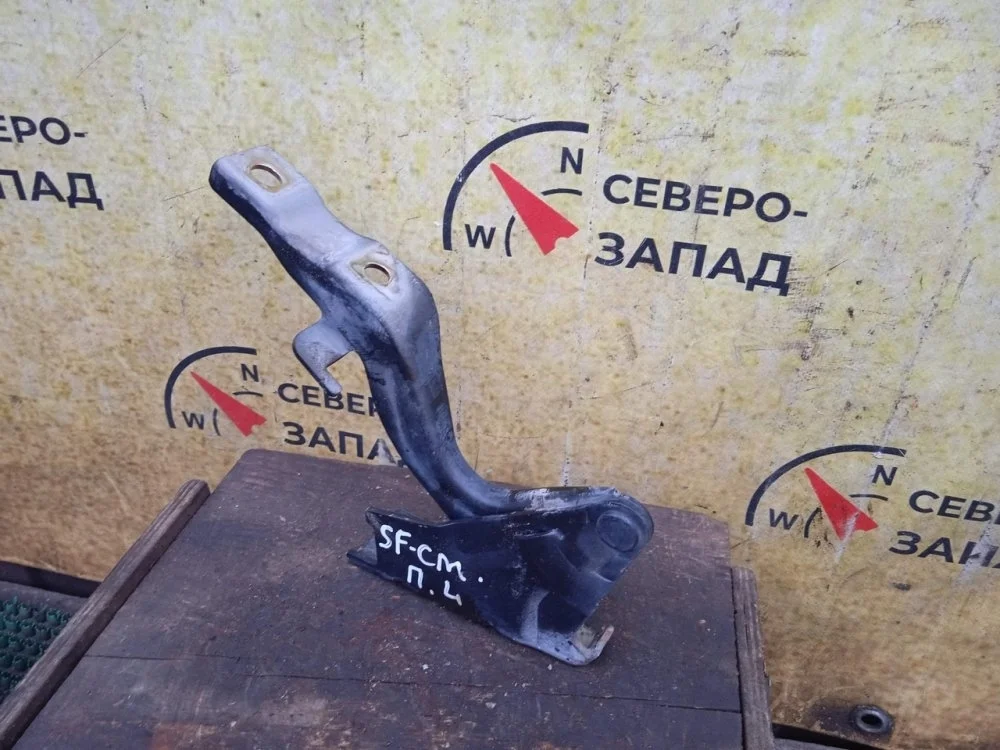 Петля капота Hyundai Santa Fe 2006 791102B000 CM G6EA, левая