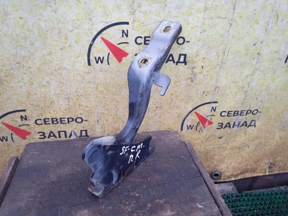Петля капота Hyundai Santa Fe 2006 791202B000 CM G6EA, правая