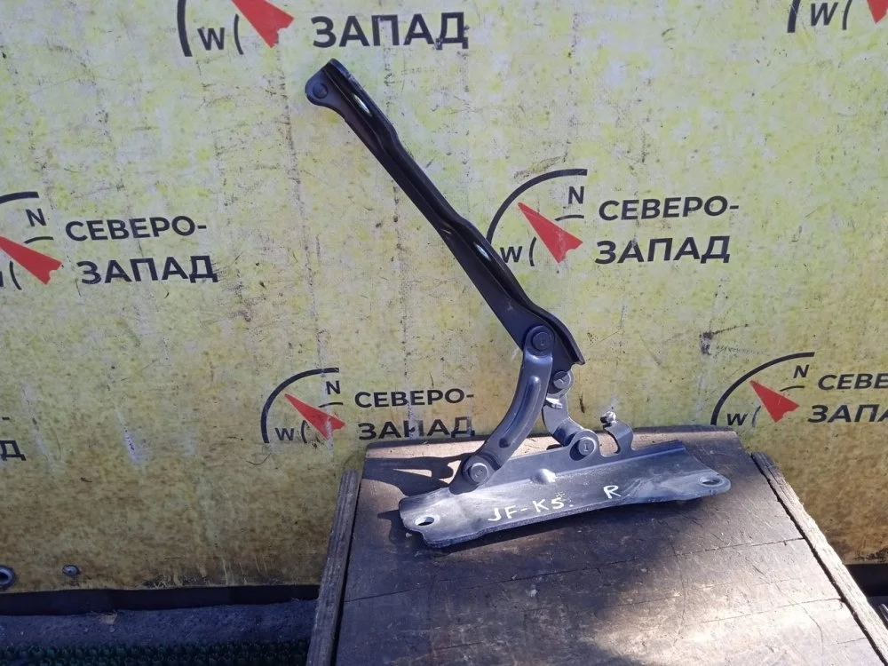 Петля капота Kia Optima 2018 79120D4010 JF G4ND, правая