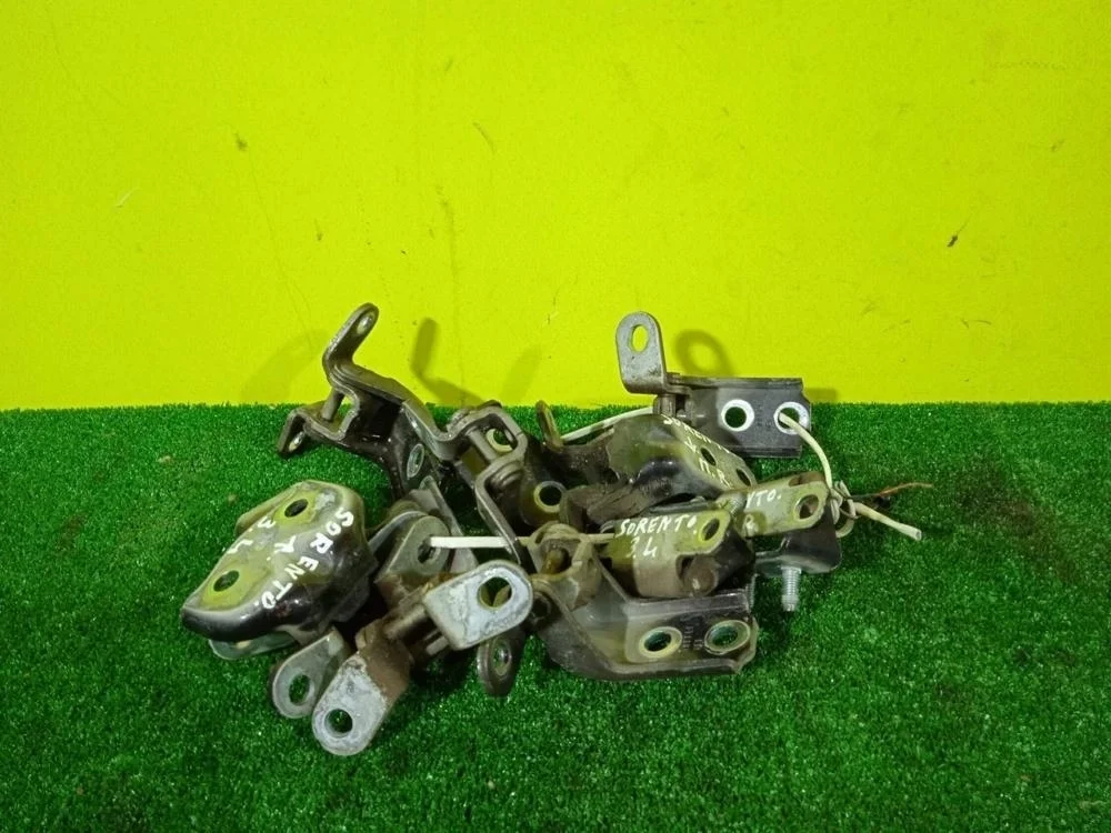 Петля двери Kia Sorento 2020 793102B010 UM D4HB, передняя левая